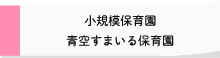 小規模保育園 青空すまいる保育園