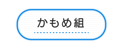 かもめ組